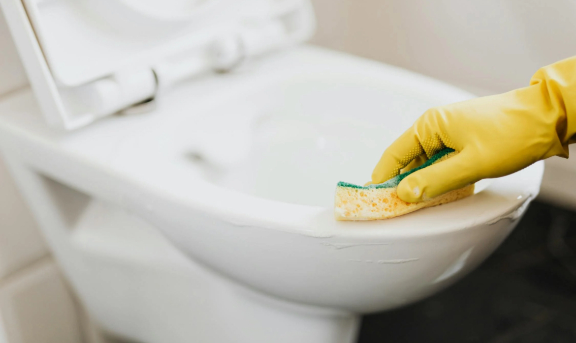 Lidiane - Viseu - Deep or Spring Cleaning