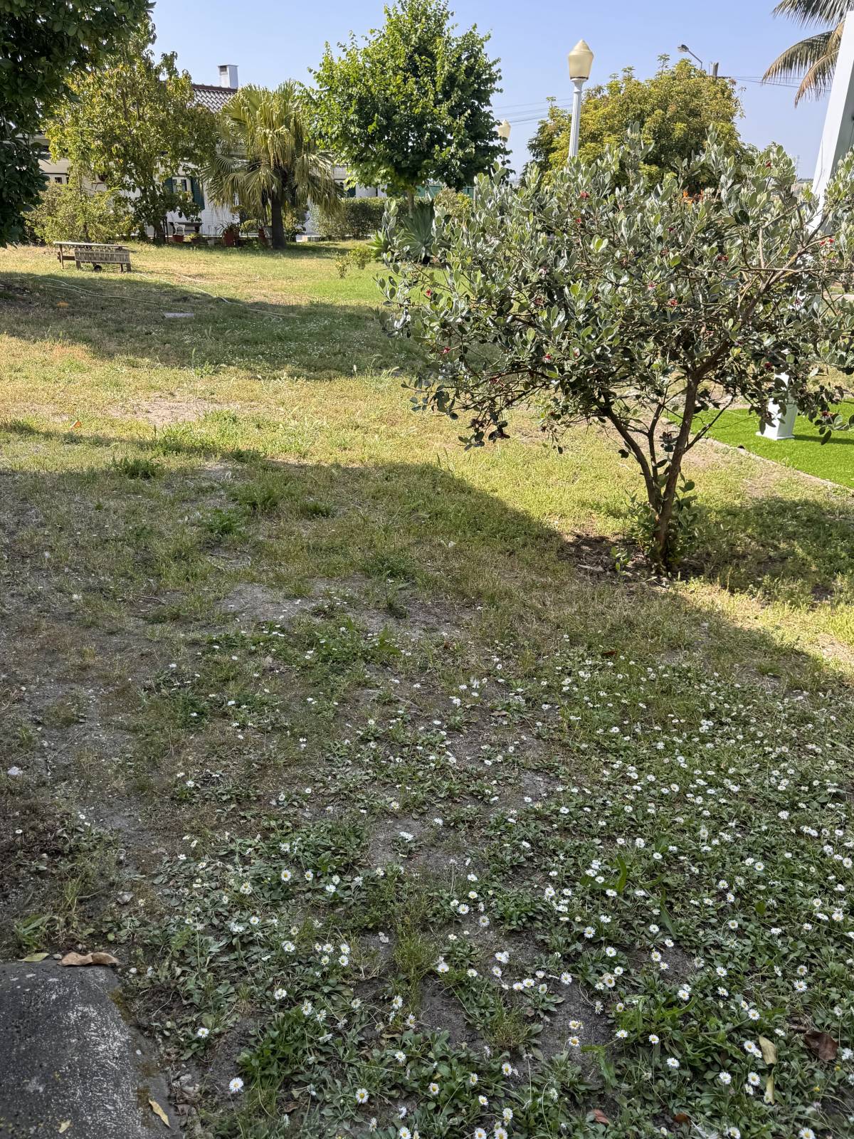 Soares jardins e campos jardim - Almada - Gartenarbeit