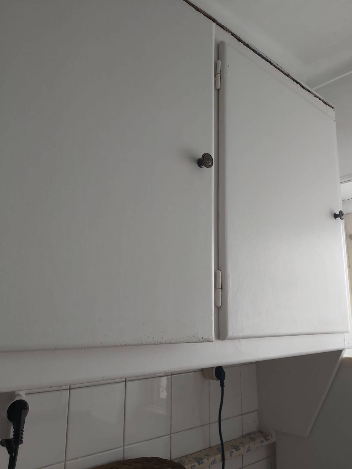 Mold Removal Expert - Domestic Services