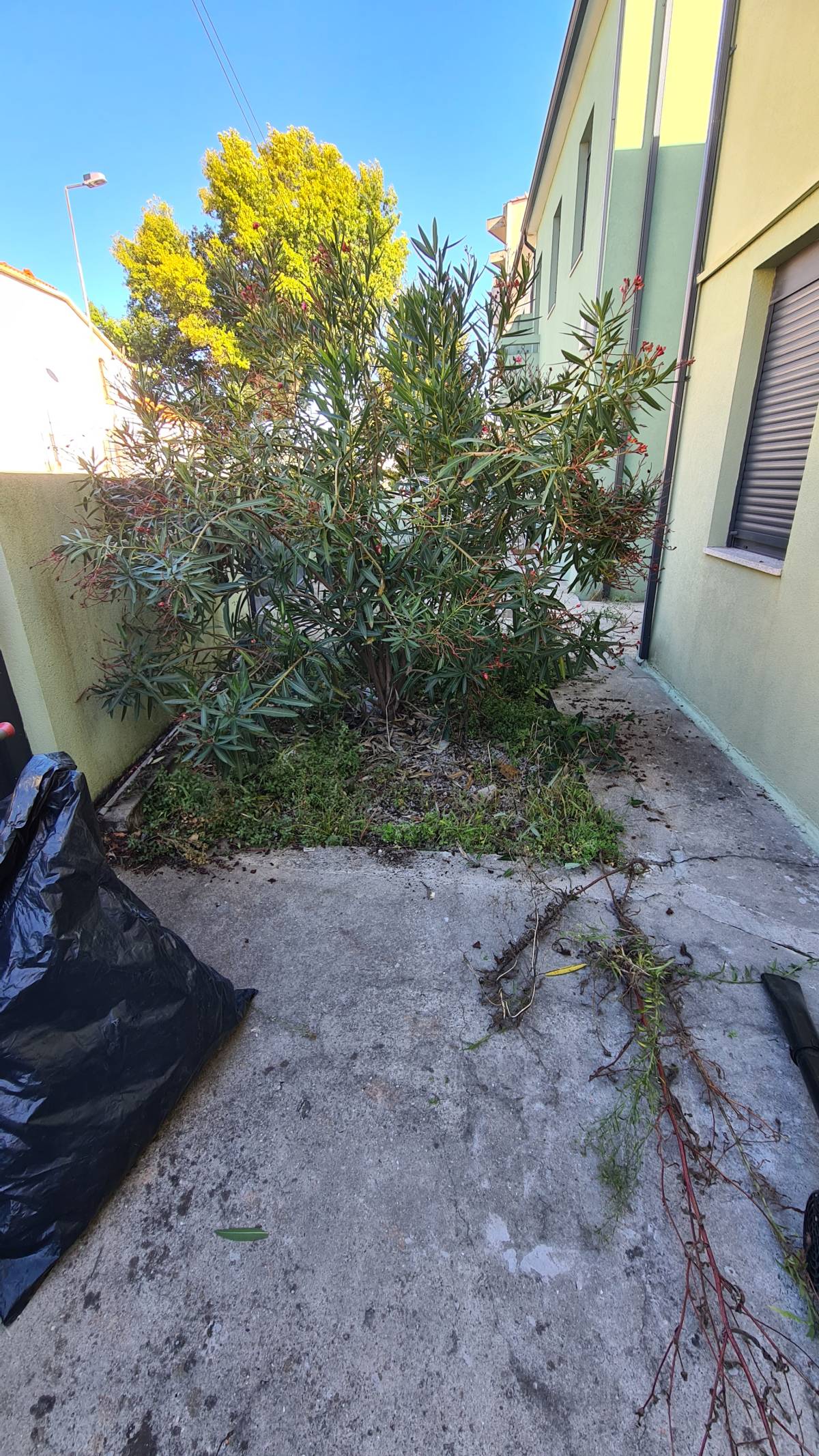 Jardinagem Criativa - Maia - Outdoor Landscaping