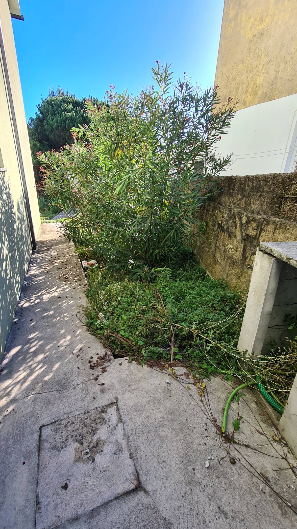Jardinagem Criativa - Maia - Lawn Mowing and Trimming