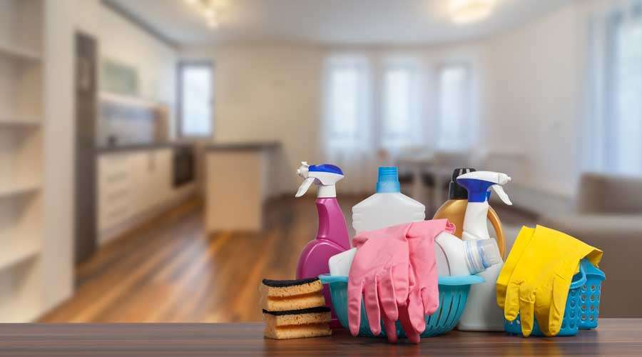 Iris Silva - Setúbal - Deep or Spring Cleaning