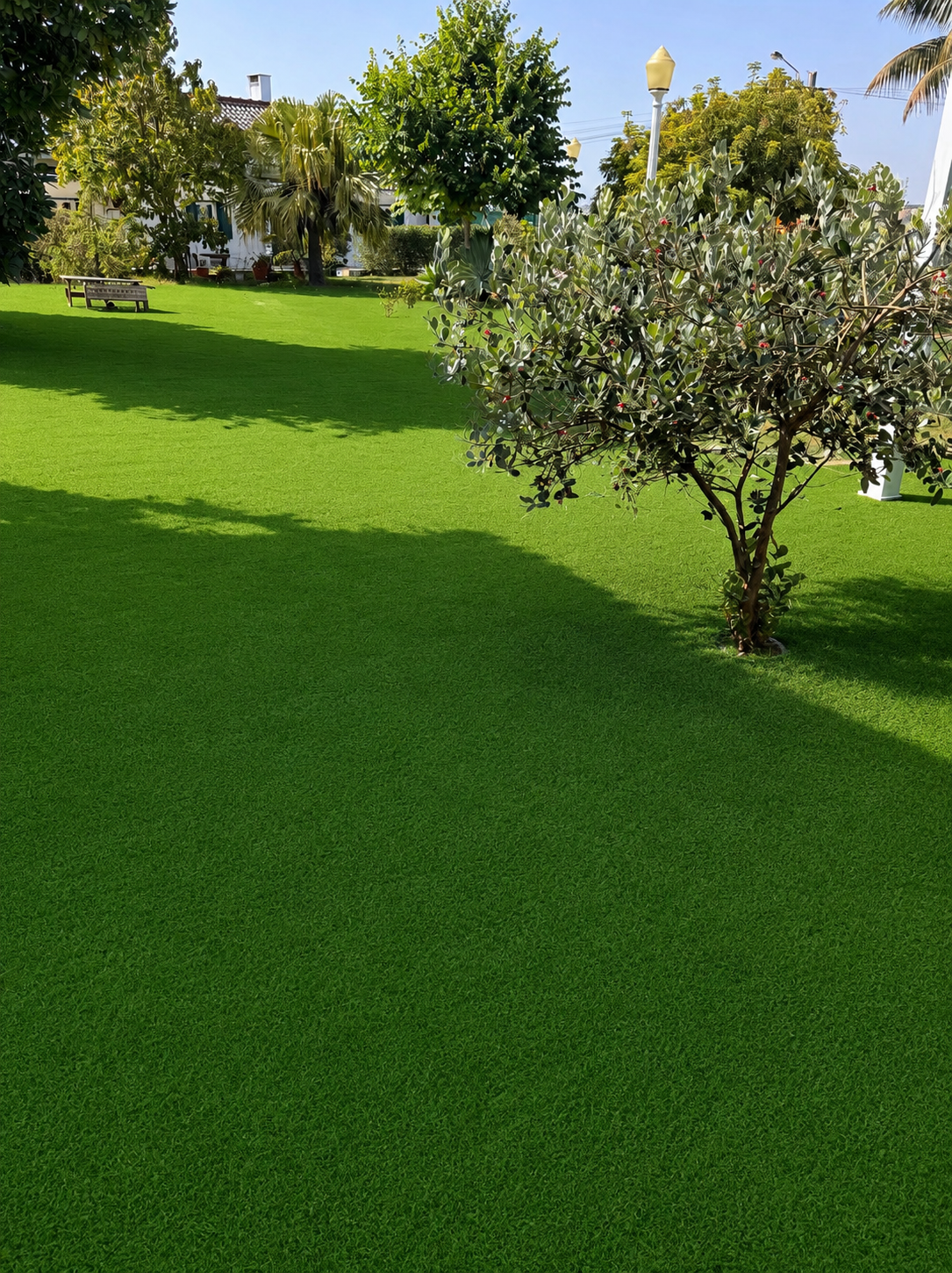 Soares jardins e campos jardim - Almada - Baumpflanzung