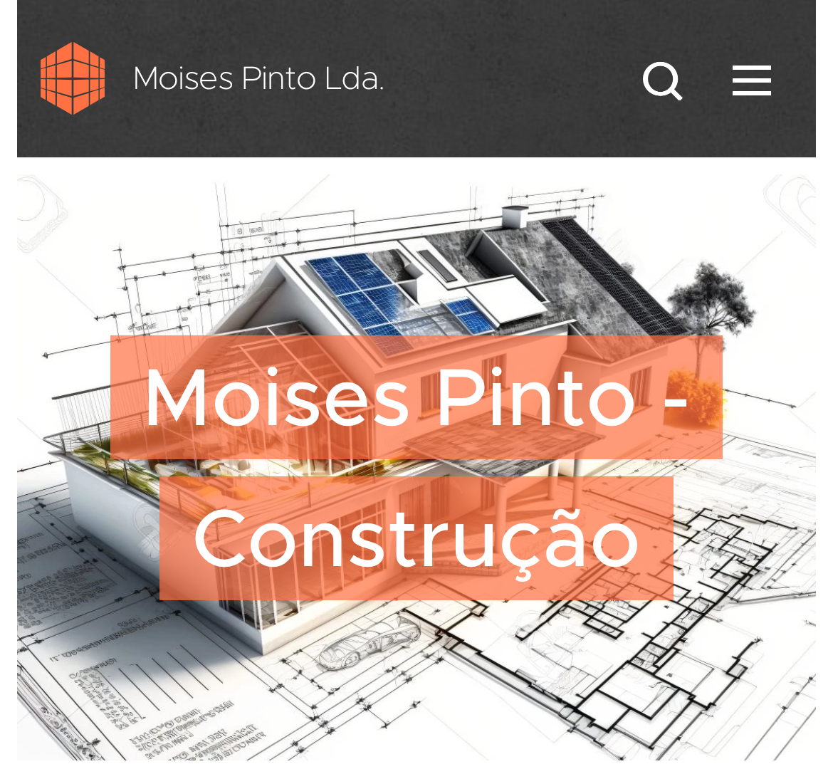 Moises Pinto Unipessoal LDA - Moita - Caulking