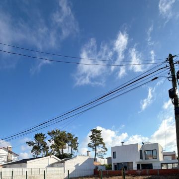 Soares jardins e campos jardim - Almada - Baumstumpf oder -wurzel wegfräsen und entfernen