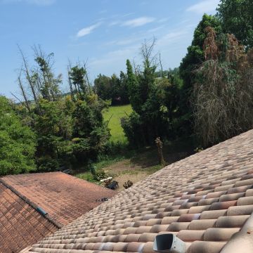JPF TELHADOS DO SUL - Vendas Novas - Roofing