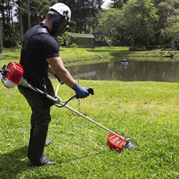 Jardinagem  ' pintura e limpeza de  terrenos arrumação de  casa  relvado - Vila do Conde - Poda e Manutenção de Árvores