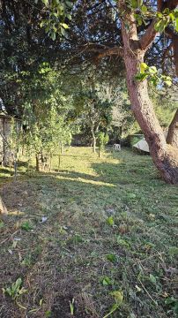 Jardinagem Criativa - Maia - Tree Stump Grinding and Removal