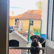 Sara Lopes - Alcobaça - Dog Sitting