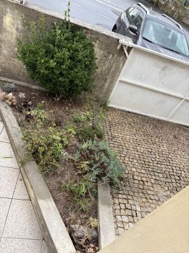 Jardinagem