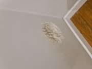 Furniture restoration company