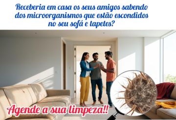 Senhor BricoLar - Viana do Castelo - Shrub Removal
