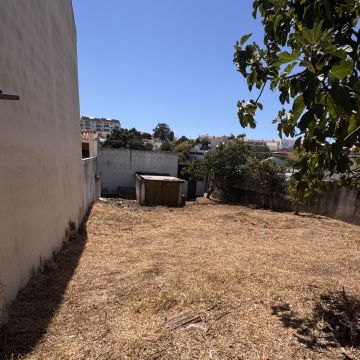 Soares jardins e campos jardim - Almada - Gartenarbeiten
