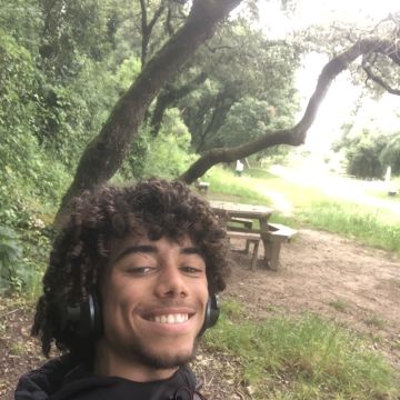 Luís Vicente - Sintra - Limpeza a Fundo
