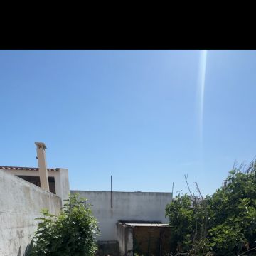 Soares jardins e campos jardim - Almada - Baumschnitt und Grundstückspflege