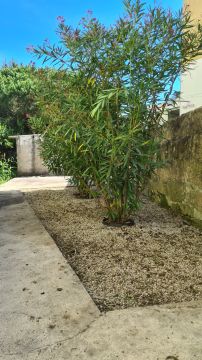 Jardinagem Criativa - Maia - Land Leveling and Grading - Large Scale (more than 1 acre)