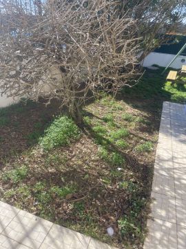 Serviço de Jardinagem - Casa