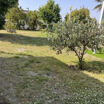 Soares jardins e campos jardim - Almada - Gartenarbeit