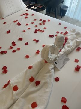 Natali Capita - Porto - Limpieza de tapicerias y muebles