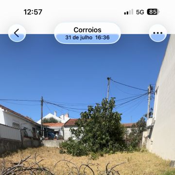 Soares jardins e campos jardim - Almada - Entfernung von Gebüsch- und Baumaufwuchs