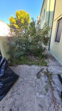 Jardinagem Criativa - Maia - Outdoor Landscaping