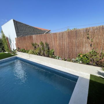 Júlio César - Montijo - Plantação de Árvores