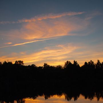 Luís Ribeirinho Fotografia - Mora - Transmissão de Vídeo e Serviços de Webcasting
