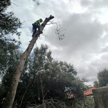Sérgio - Mafra - Reparación o mantenimiento de encimeras