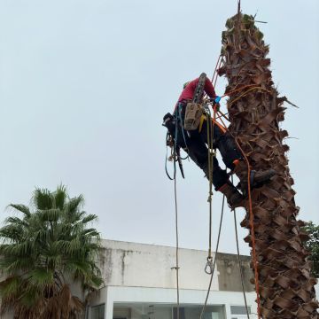 Sérgio - Mafra - Montaje de muebles