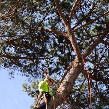 Sérgio - Mafra - Instalación de luces