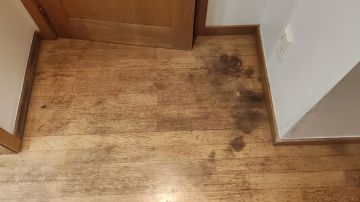 Hardwood Floor Repair or Partial Replacement - Flooring