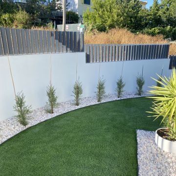 PontiGarden - Lisboa - Remoção de Tronco de Árvore