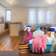 Iris Silva - Setúbal - Deep or Spring Cleaning