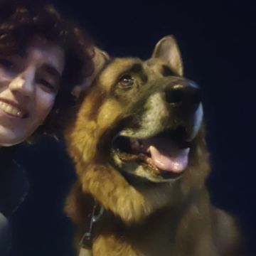 Isabel's Pet's - Porto - Cuidado y peluquería para mascotas