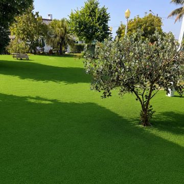 Soares jardins e campos jardim - Almada - Baumpflanzung