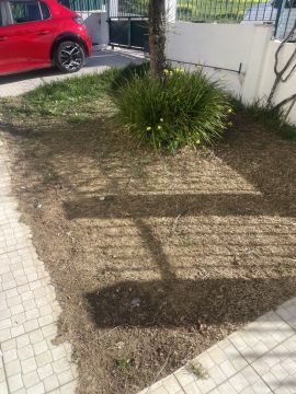 Jardinagem e Relvados