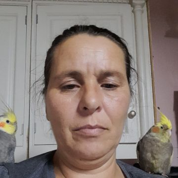 Mónica Carvalho - Loulé - Babysitting