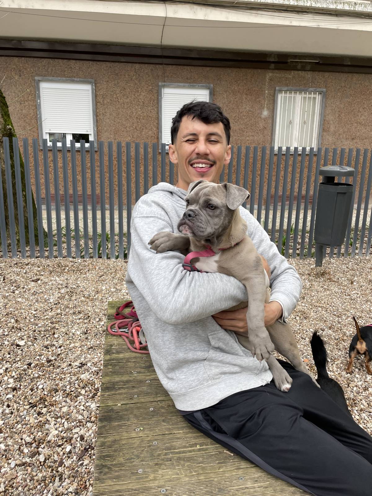Brendon cuidador e treinador - Loulé - Dog Training - Private Lessons