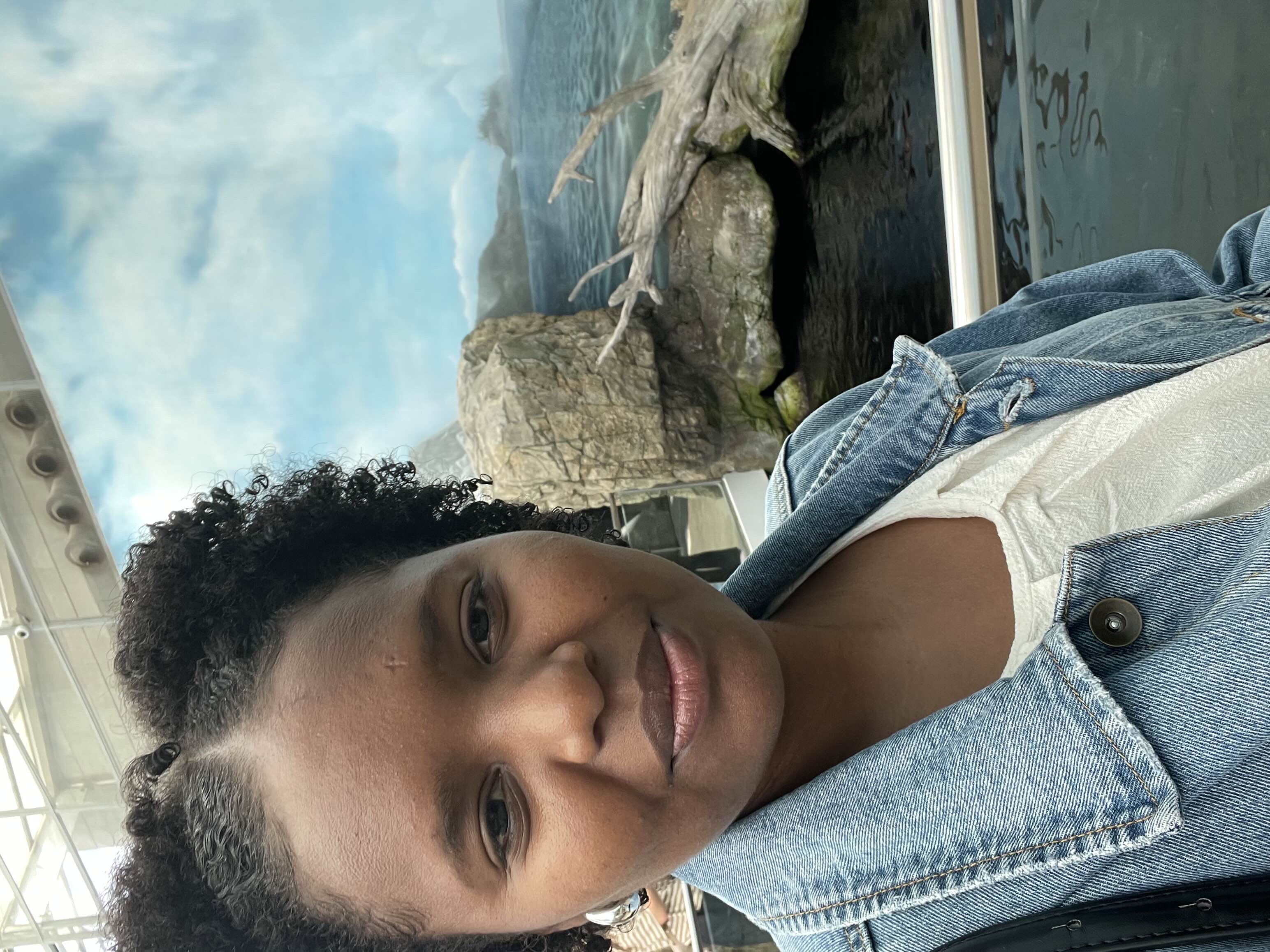 Mónica Santos 🇨🇻 - Vila Franca de Xira - Administrative Support