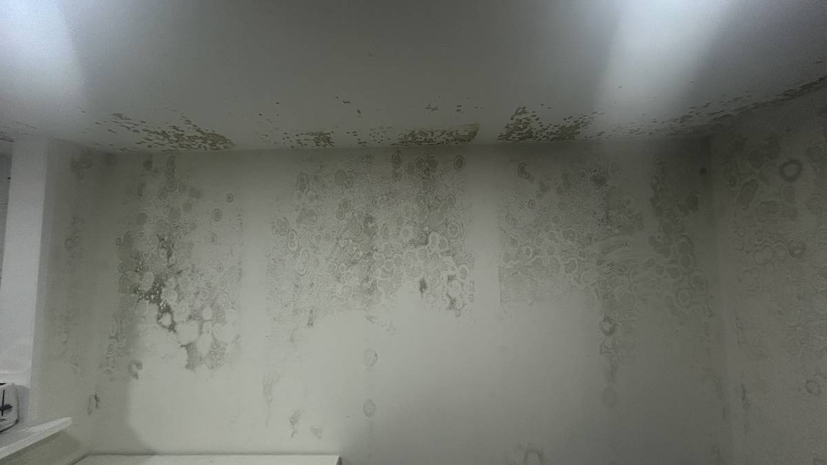 Clean Service - Barcelos - Textilreinigung