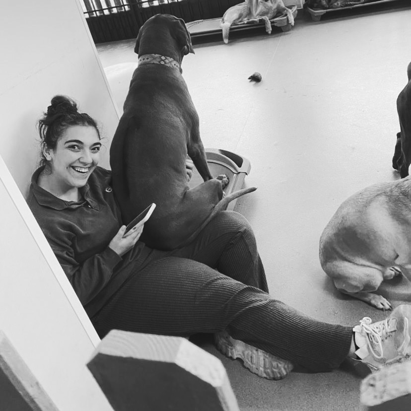 Catarina Vedor - Loures - Dog Sitting