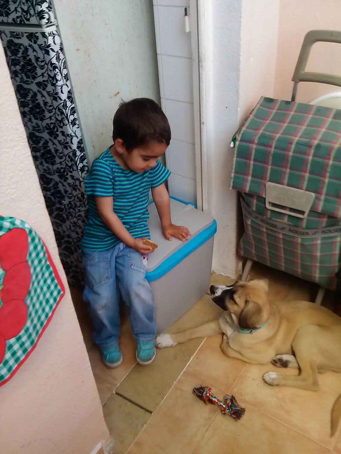 Ana Rodrigues - Lisboa - Babysitter
