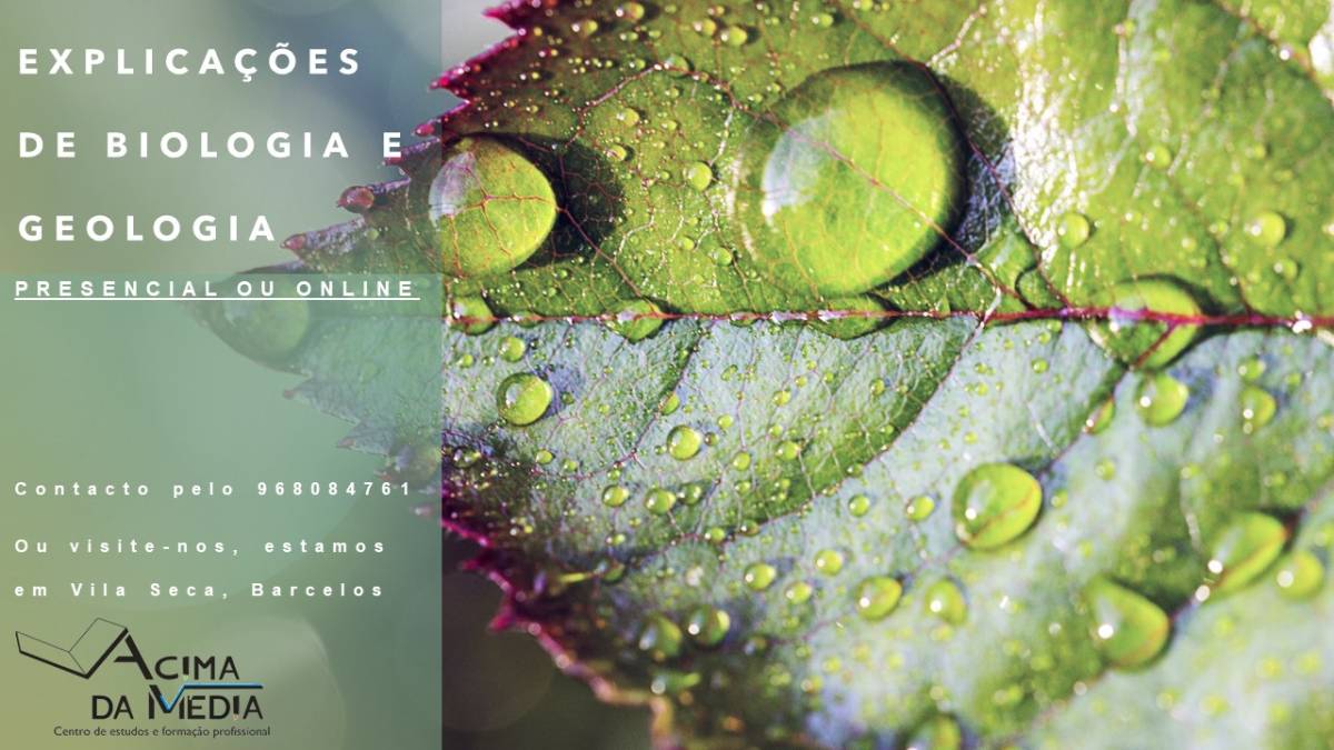 Centro de estudos Acima da Média - Barcelos - Traducciones del rumano