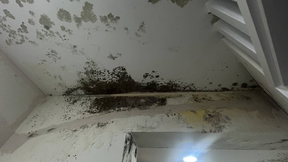 Clean Service - Barcelos - Teppich-, Vorlegerreinigung