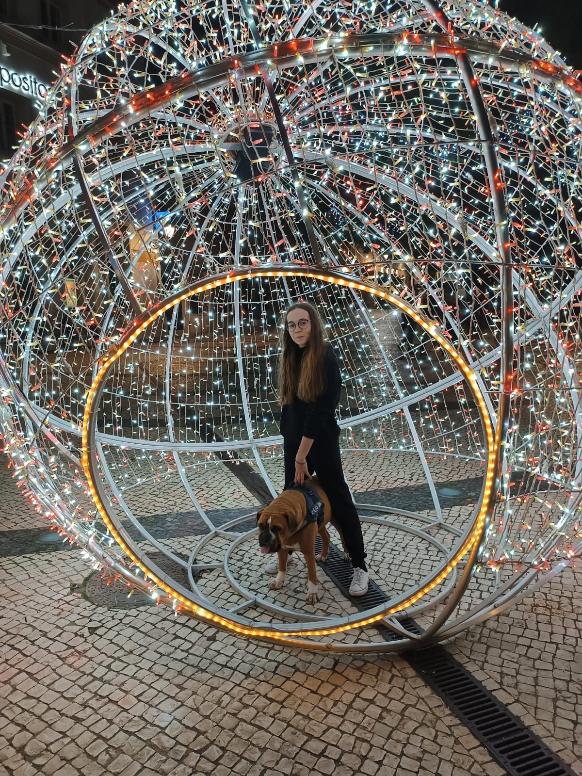 Beatriz Ramos - Loulé - Dog Walking