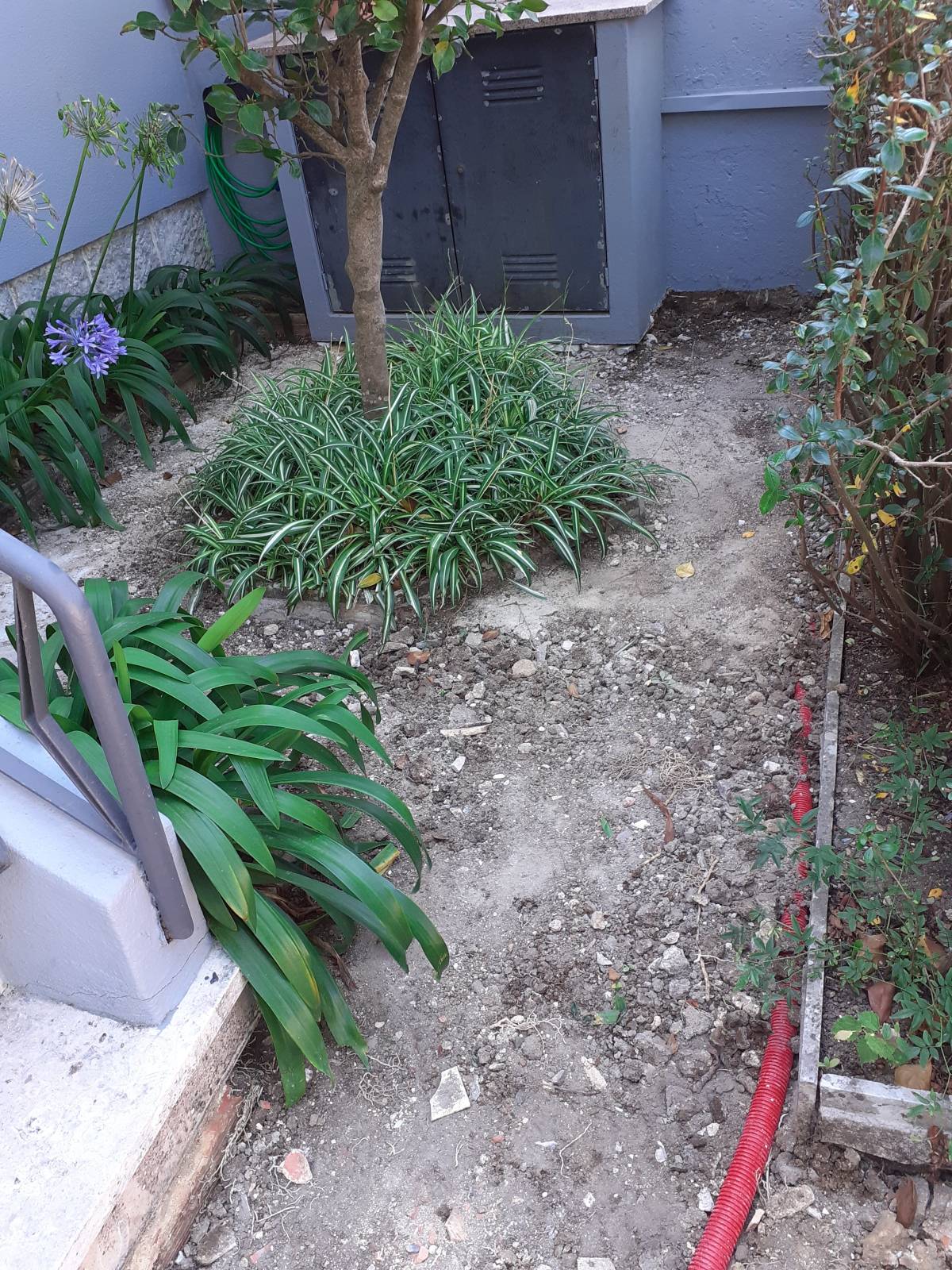 Carlos Carvalho - Lisboa - Multi Service Lawn Care