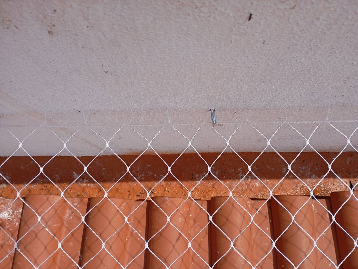 Carlos Carvalho - Lisboa - Plastering