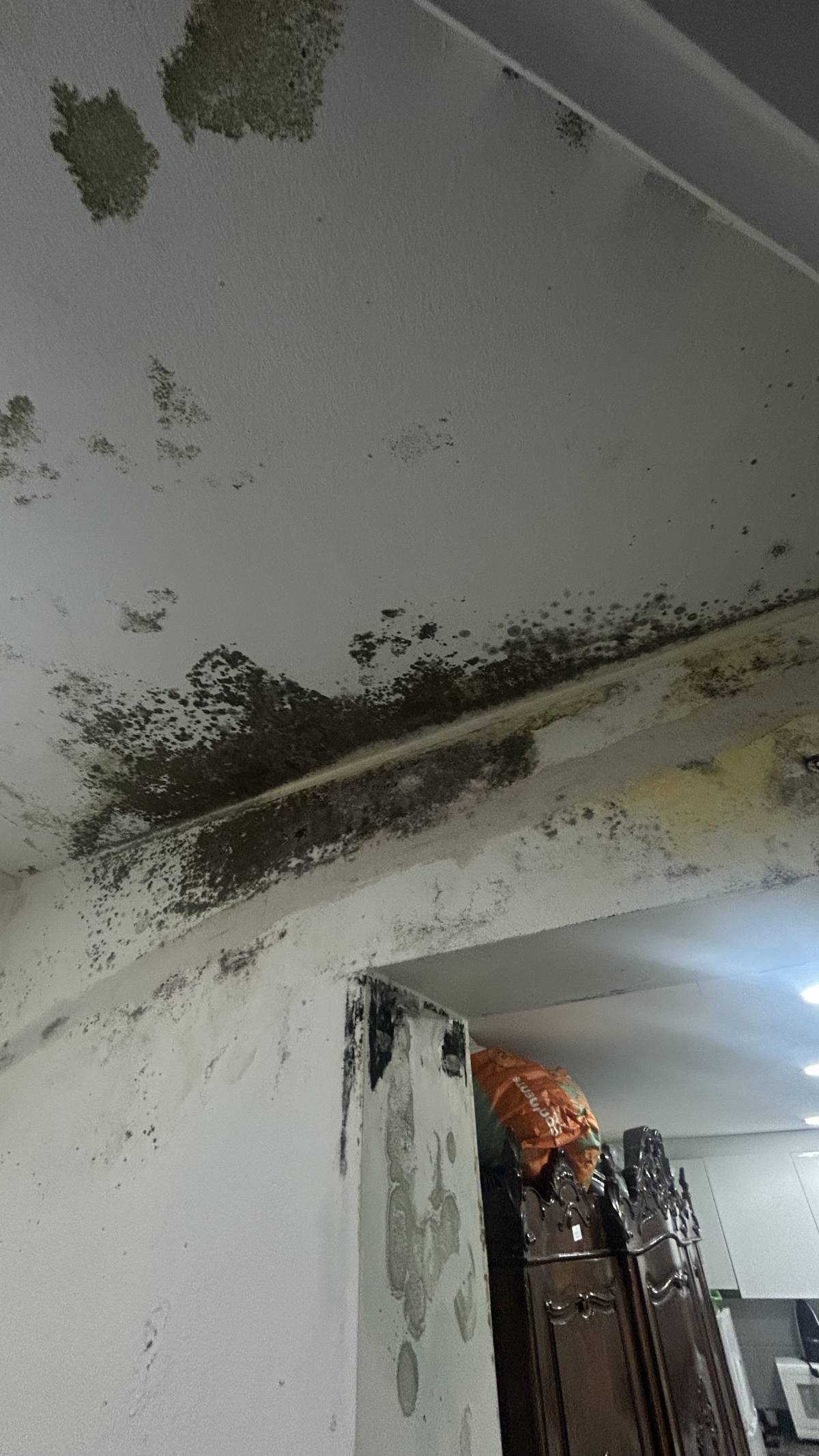 Clean Service - Barcelos - Fensterreinigung