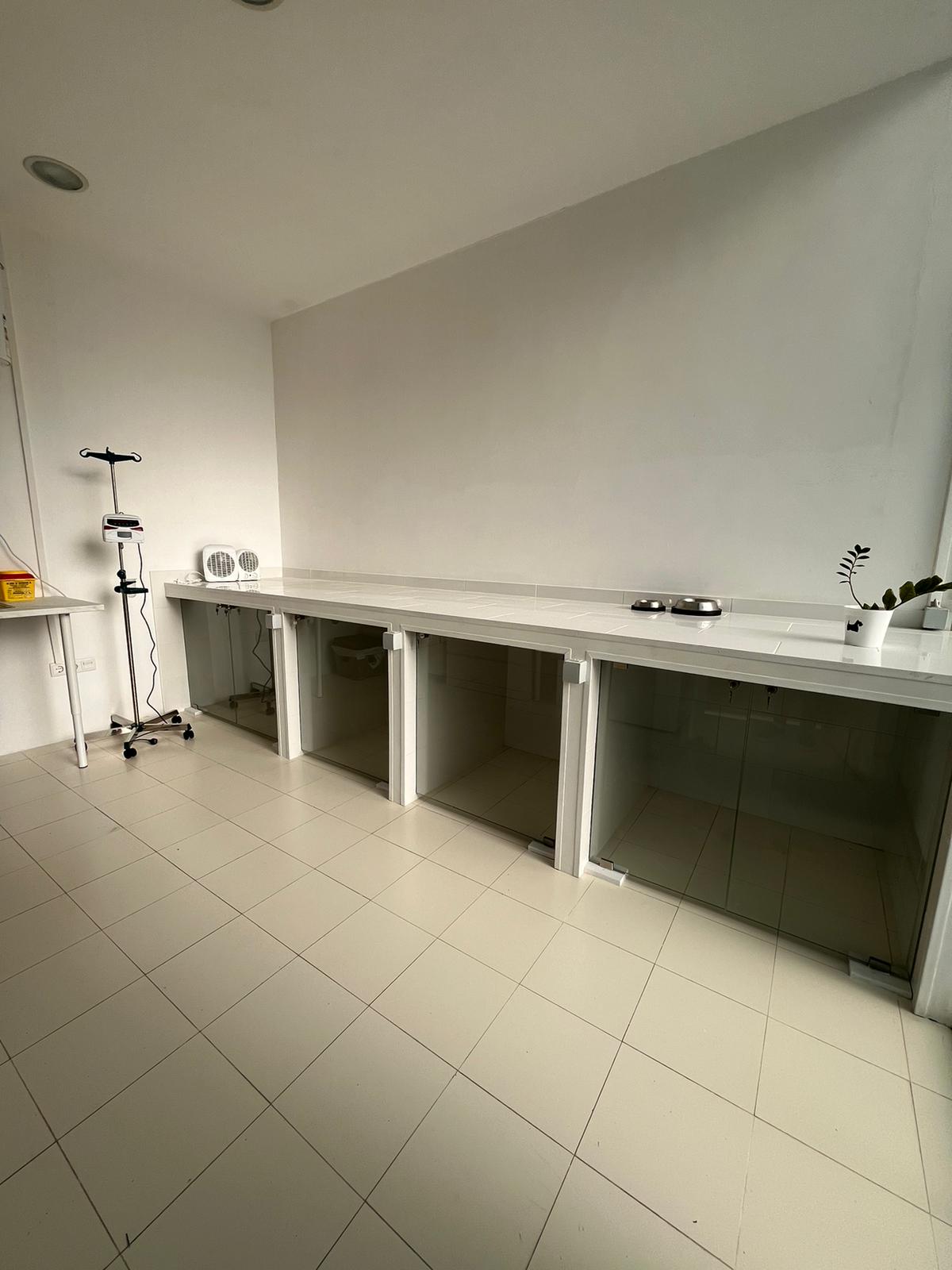 Azurara Pets Cliniva Veterinaria - Vila do Conde - Cuidados para Animais de Estimação
