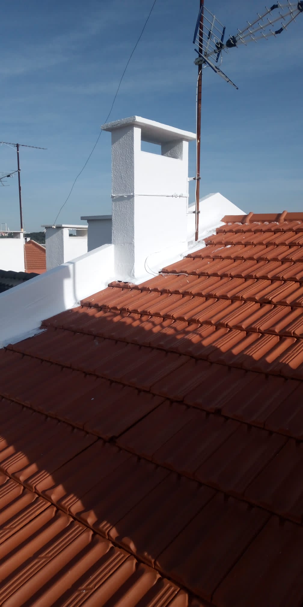 Carlos Carvalho - Lisboa - Gardening